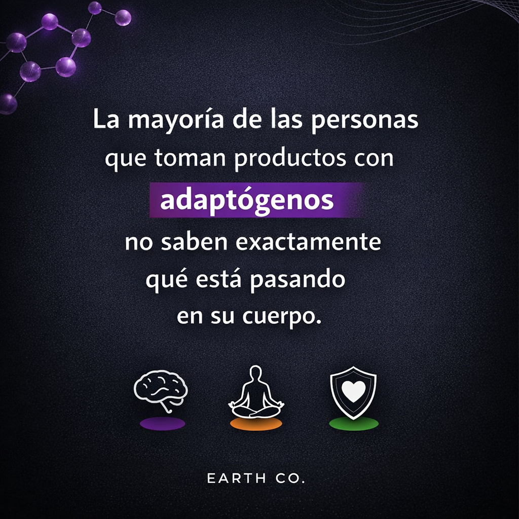 Adaptógenos: qué son, cómo funcionan y por qué están en mi café