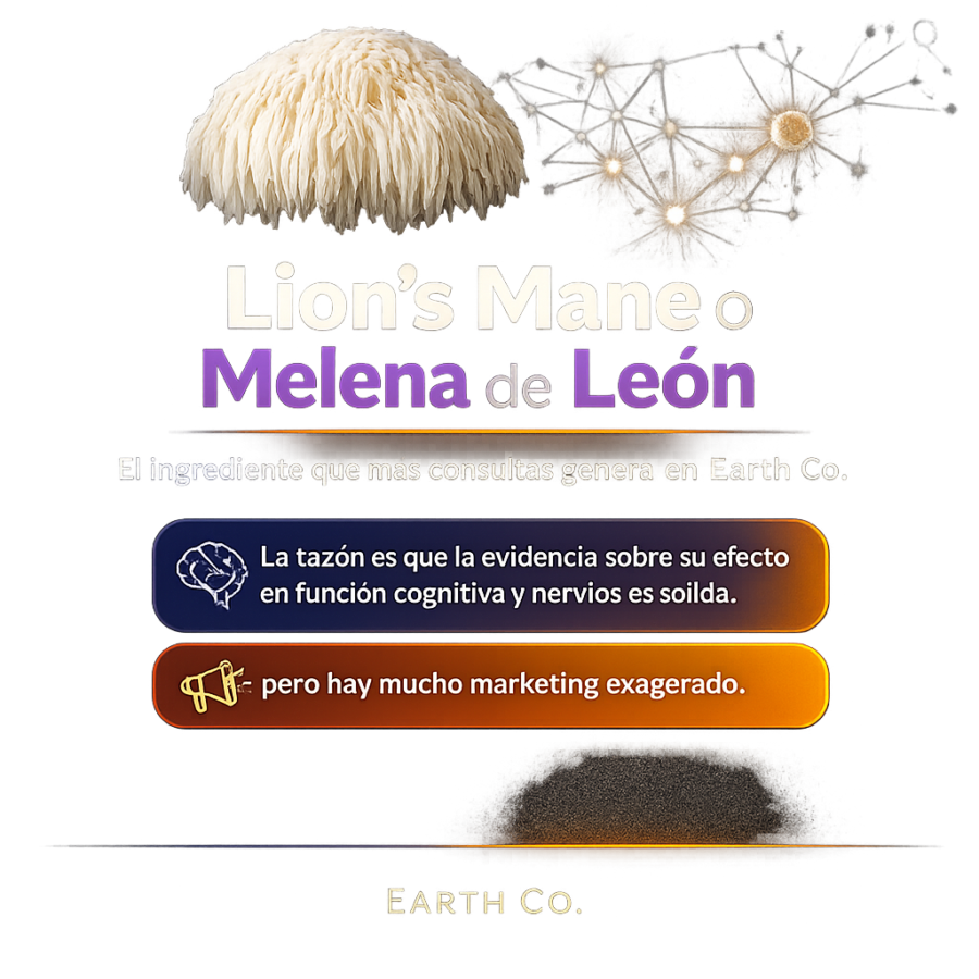 Lion’s mane: el hongo que más nos preguntan y lo que la evidencia realmente dice