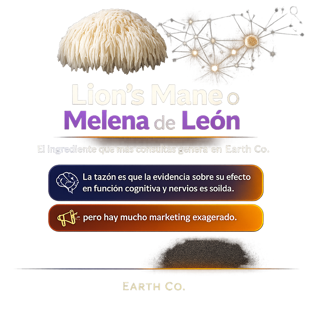 Lion’s mane: el hongo que más nos preguntan y lo que la evidencia realmente dice