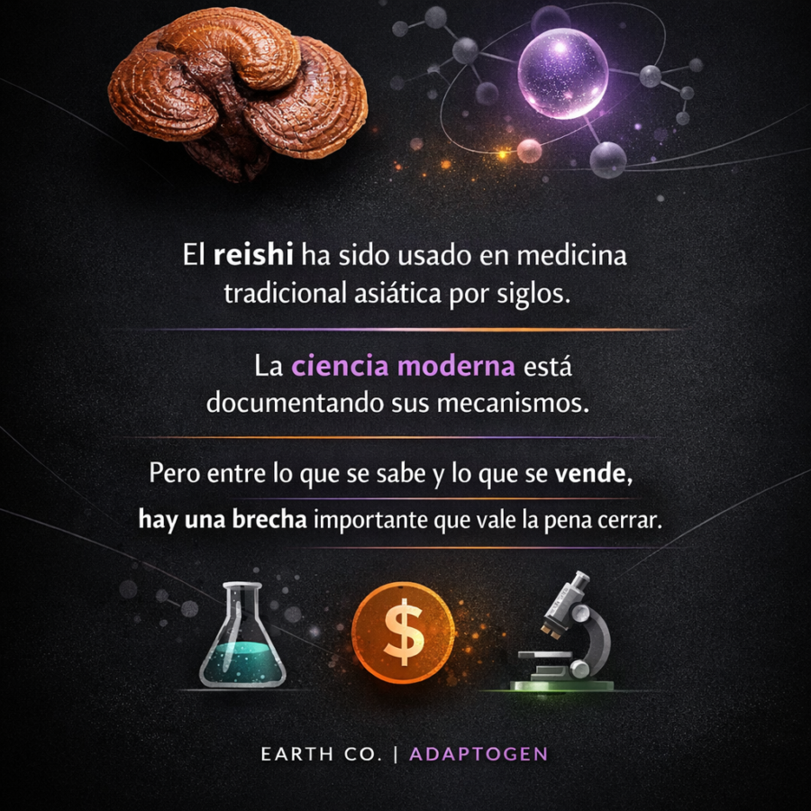 Reishi en café: beneficios reales, mitos comunes y cómo Earth Co lo usa en su línea ADAPTOGEN