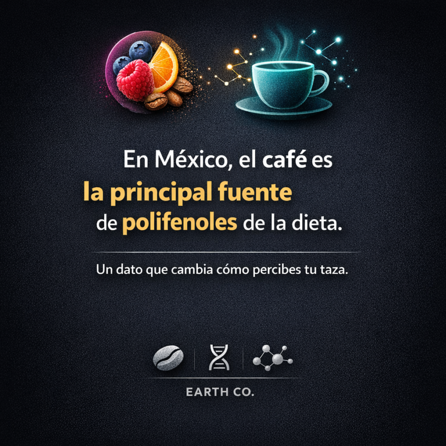 El café tiene más antioxidantes que muchas frutas