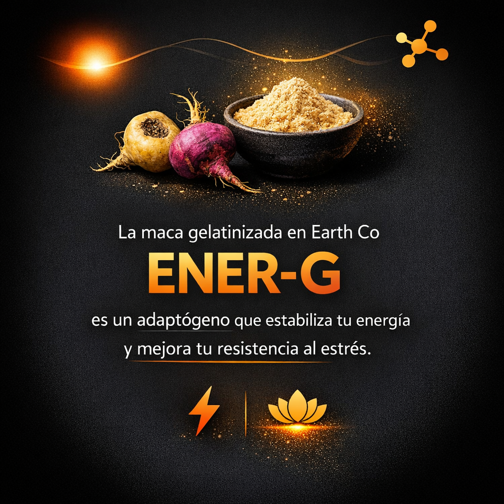 ENER-G: maca peruana sin nerviosismo ni crash