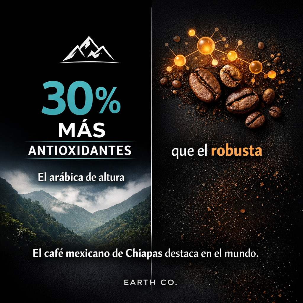 Arábica vs robusta: el origen del grano importa