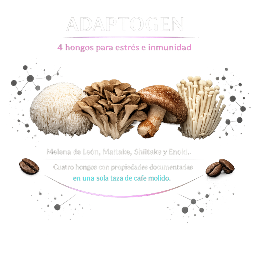 ADAPTOGEN: 4 hongos para estrés e inmunidad