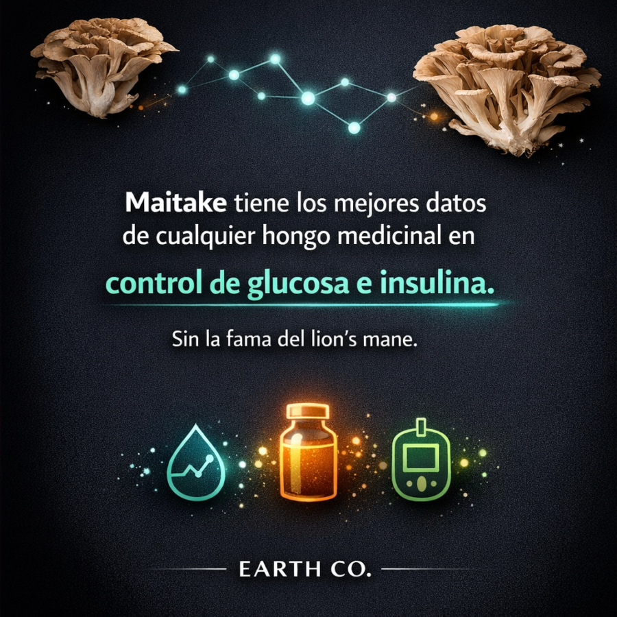 Maitake: el hongo con mejores datos en glucosa