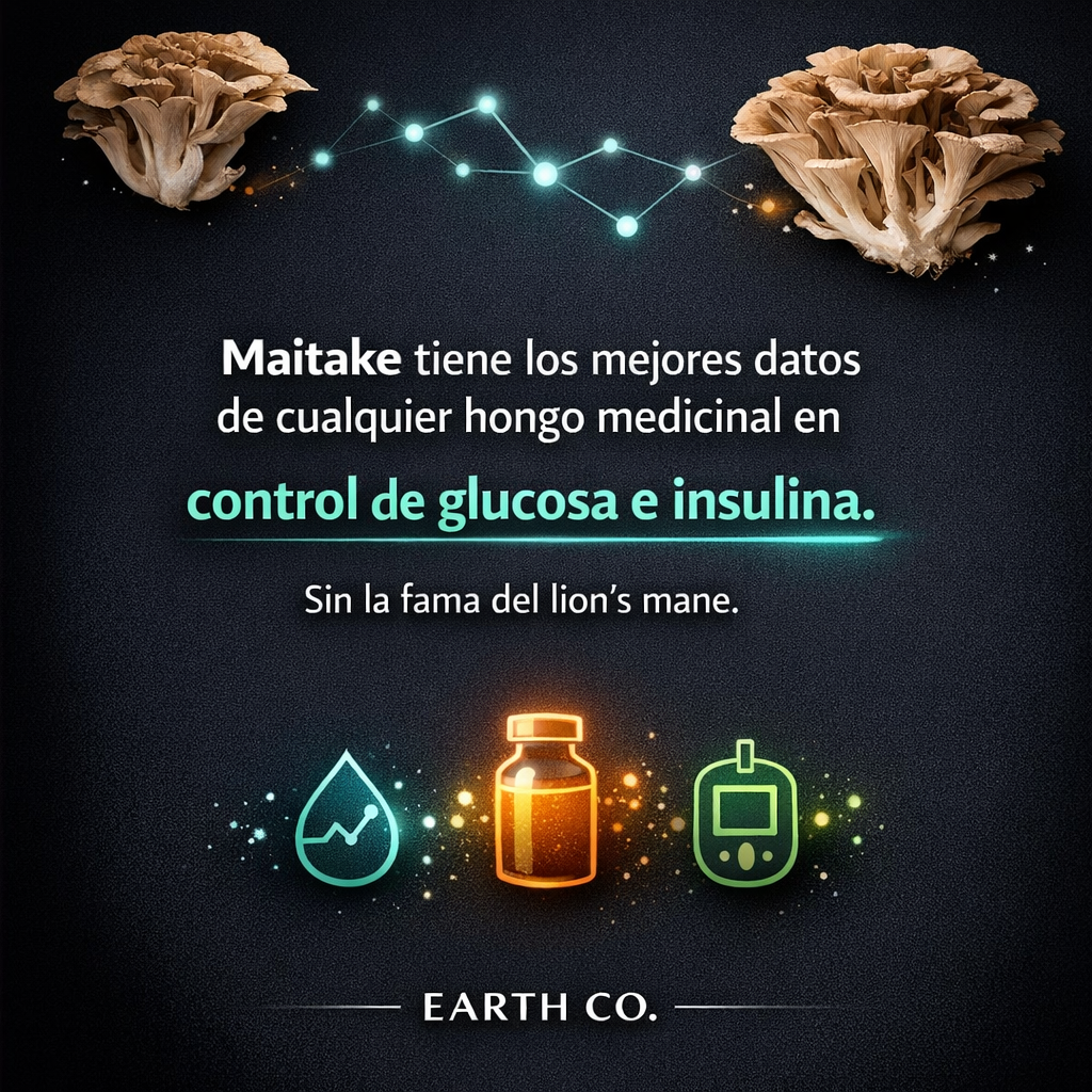 Maitake: el hongo con mejores datos en glucosa