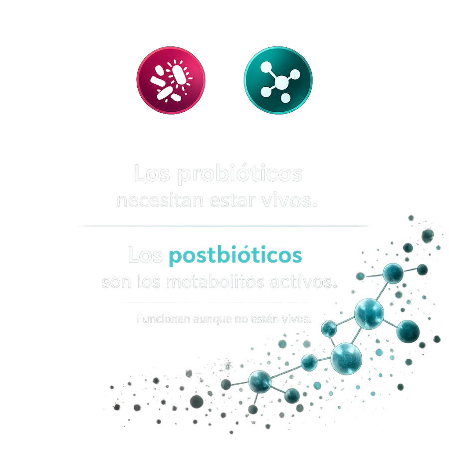Postbióticos: más estables y más efectivos que los probióticos