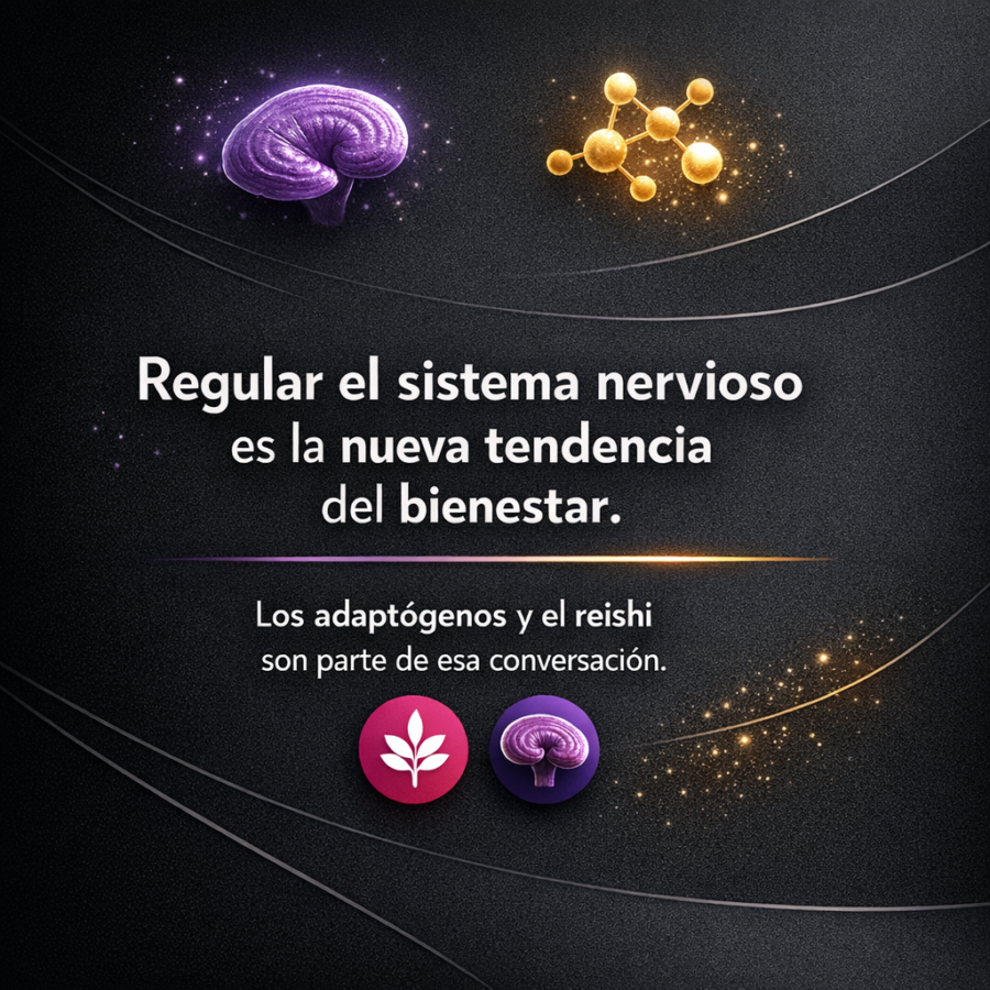 Neurowellness: regular el sistema nervioso es la nueva frontera