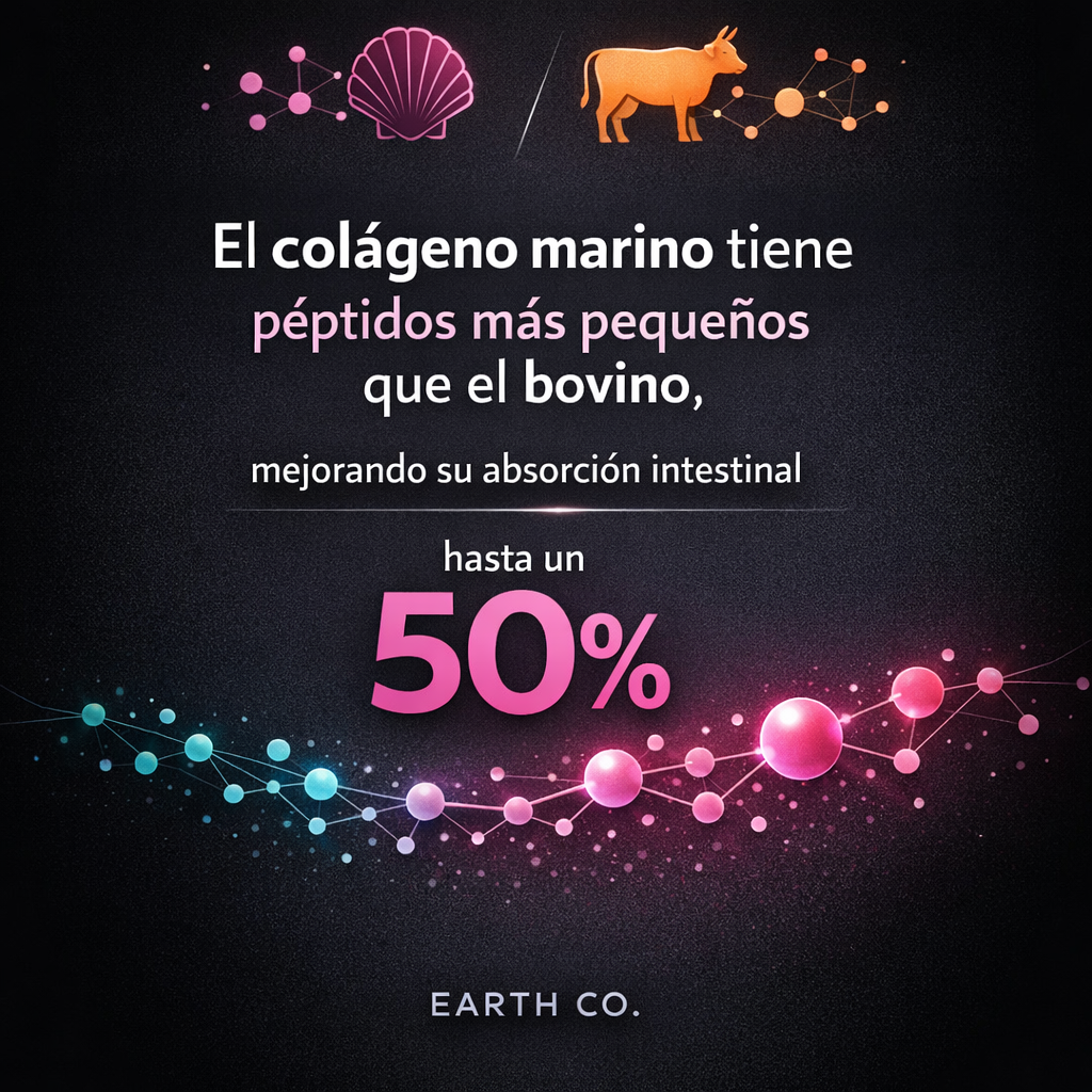 Colágeno marino vs bovino: cuál absorbe mejor tu piel