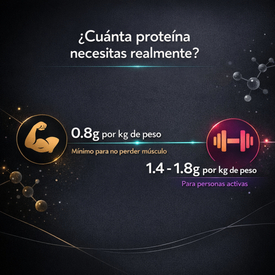 Cuánta proteína necesitas realmente según tu objetivo