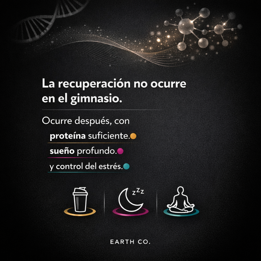 Recuperación muscular: qué pasa en tu cuerpo después de entrenar