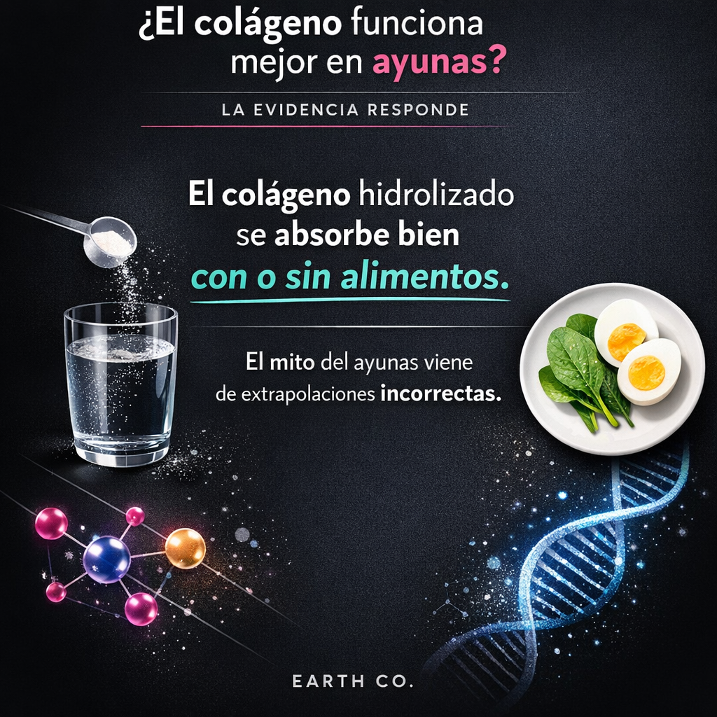¿El colágeno funciona mejor en ayunas? La evidencia responde