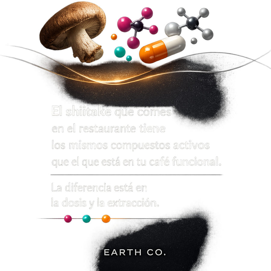 Shiitake medicinal: eritadenina, lentinano y por qué es mucho más que un ingrediente culinario