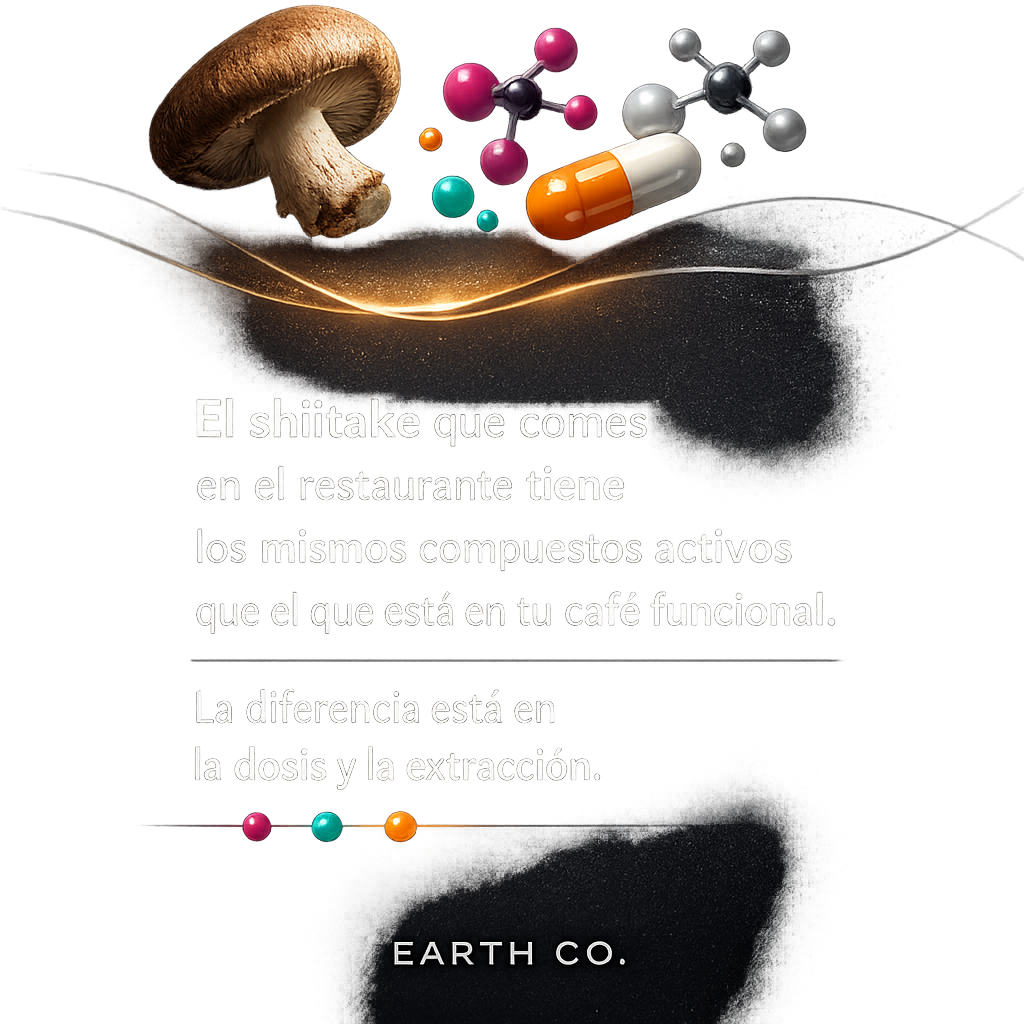 Shiitake medicinal: eritadenina, lentinano y por qué es mucho más que un ingrediente culinario