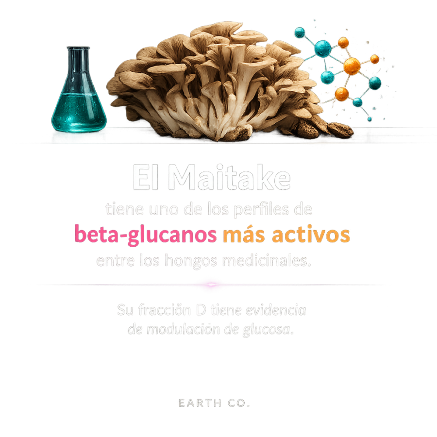 Maitake: el hongo que regula la glucosa y potencia el sistema inmune innato