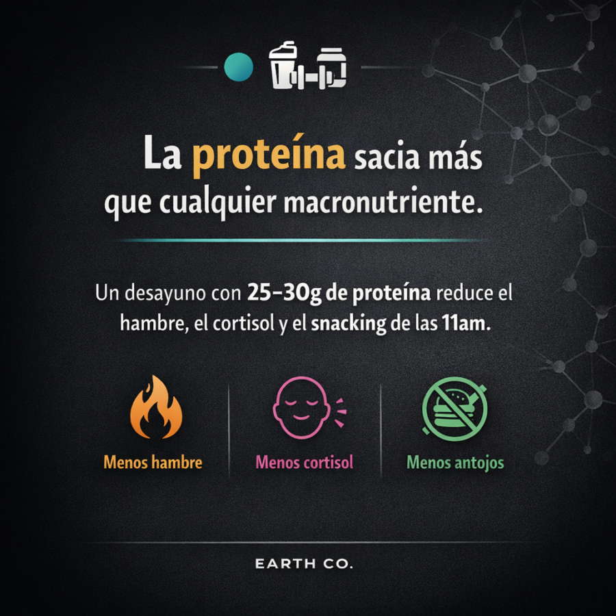 Proteína y pérdida de grasa: por qué un desayuno alto en proteína cambia tu composición corporal
