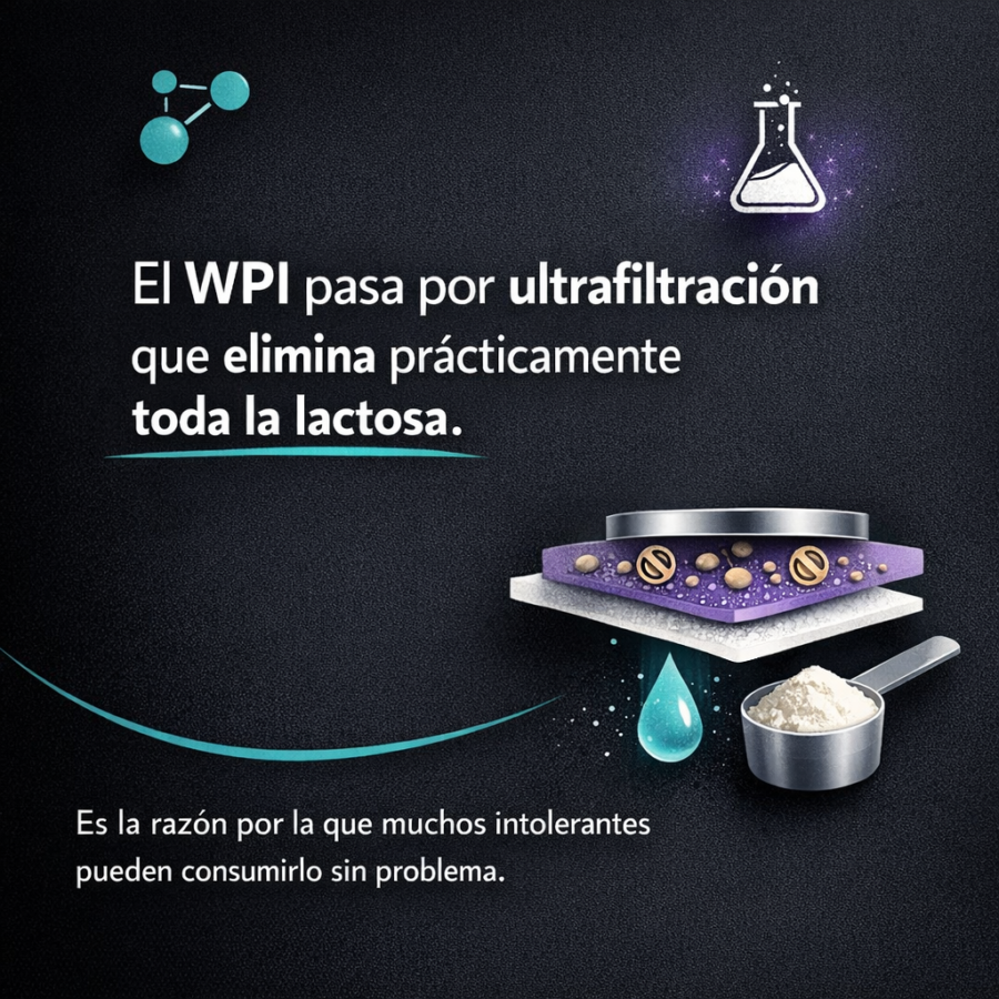 Intolerancia a la lactosa y proteína de suero: ¿el WPI es apto para personas sensibles?