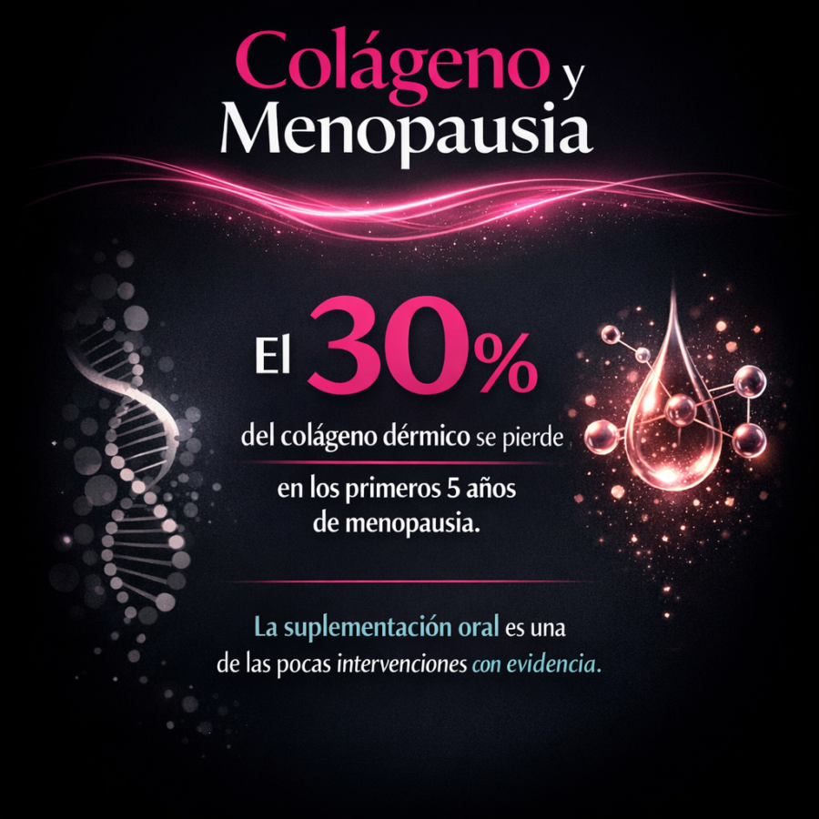 Colágeno y menopausia: por qué la pérdida de estrógenos acelera el envejecimiento de la piel