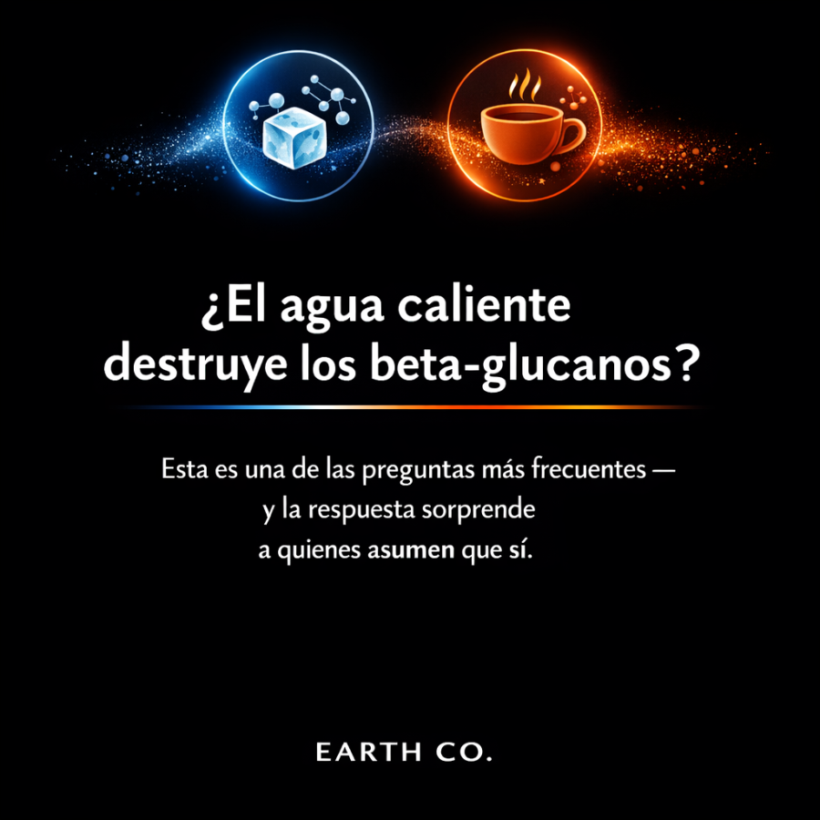 Café con hongos medicinales: biodisponibilidad de beta-glucanos en bebida caliente vs fría